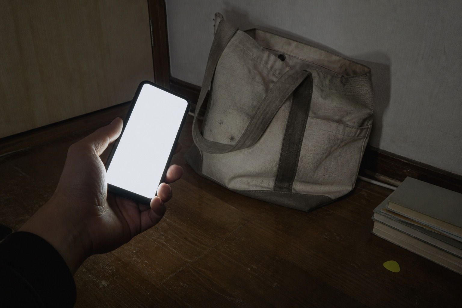 スマホで撮影する様子